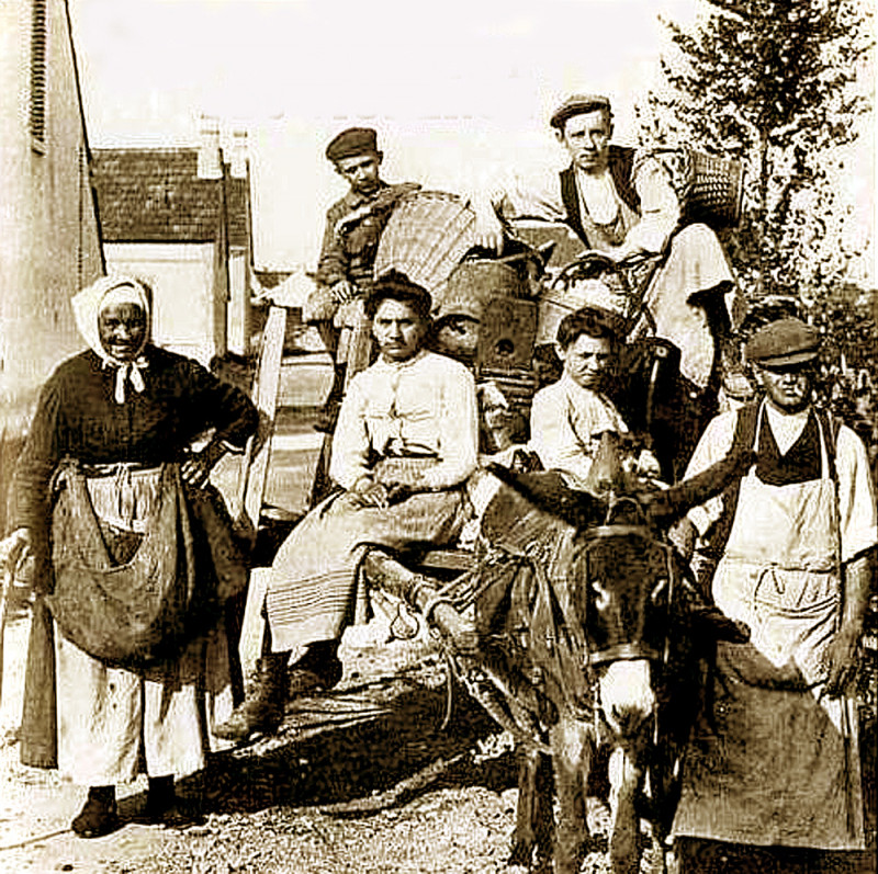 Carte postale ancienne Retour des vignes en Val de Loire