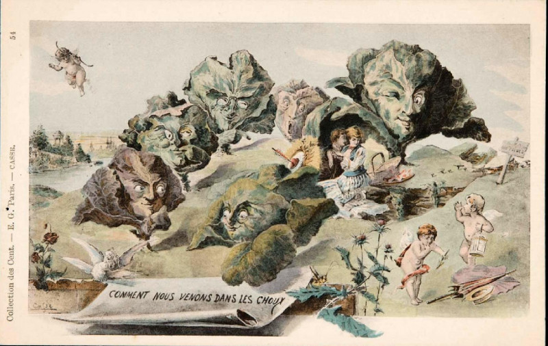Carte postale ancienne Collection des Cent N° 54 (Casse)