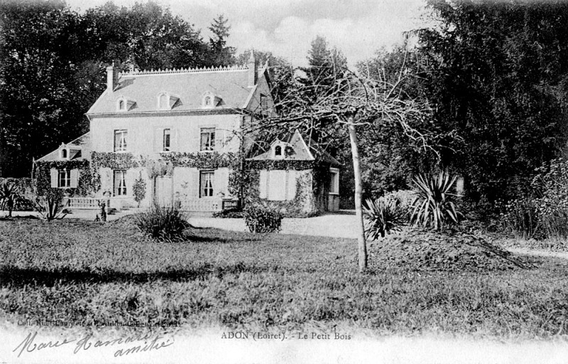 Carte postale ancienne Cp Adon Le Petit Bois à Adon