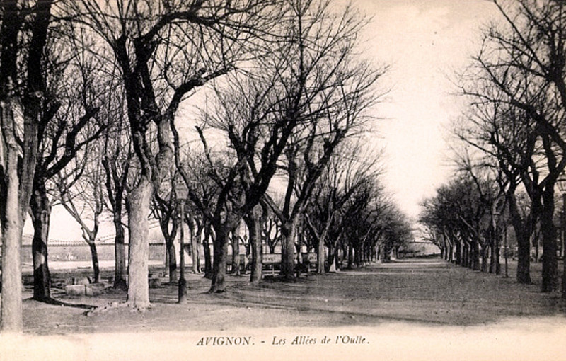 Carte postale ancienne Avignon Les allées de l'Oulle