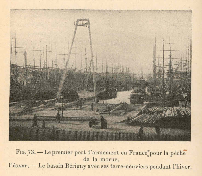 Carte postale ancienne Fmib 36602 Premier port d'armement en France pour la peche de la morue Fecamp le bassin Berigny avec ses terre-neuviers pendant l'hiver à Fécamp