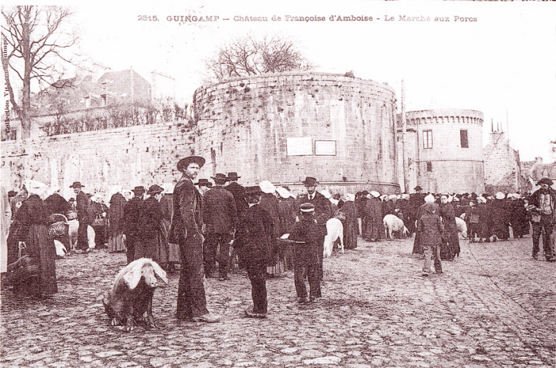 Carte postale ancienne Guingamp. Cp. Marché aux cochons à Guingamp