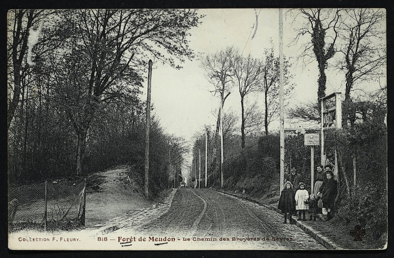 Carte postale ancienne Carte postale - Meudon - Forêt de Meudon - Le Chemin des Bruyères de Sèvres à Meudon