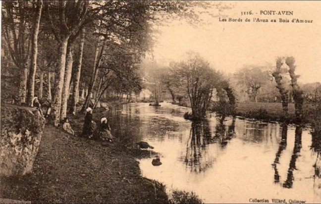 Carte postale ancienne Bois d'Amour 1