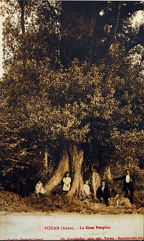 Carte postale ancienne Pouan 71168