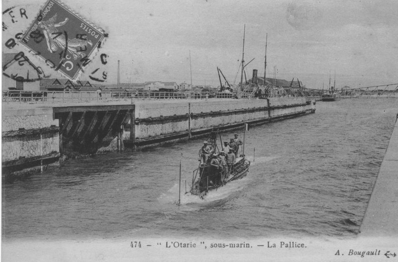Carte postale ancienne Otarie3-Bougault