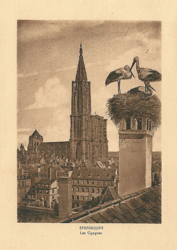 Carte postale ancienne Strasbourg-Fr-67-ancien-16