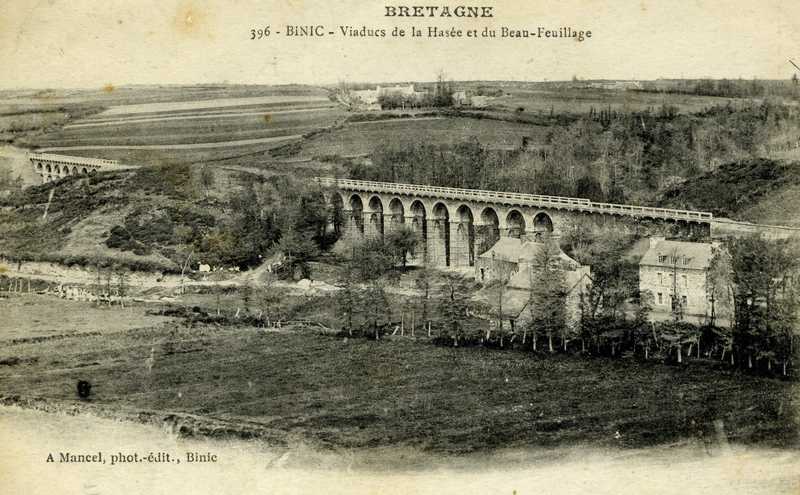 Carte postale ancienne Hasee et beaufeuillage
