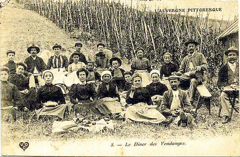 Carte postale ancienne Diner de vendange 1907