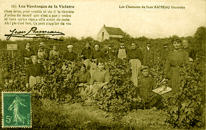 Carte postale ancienne Les vendanges de la victoire