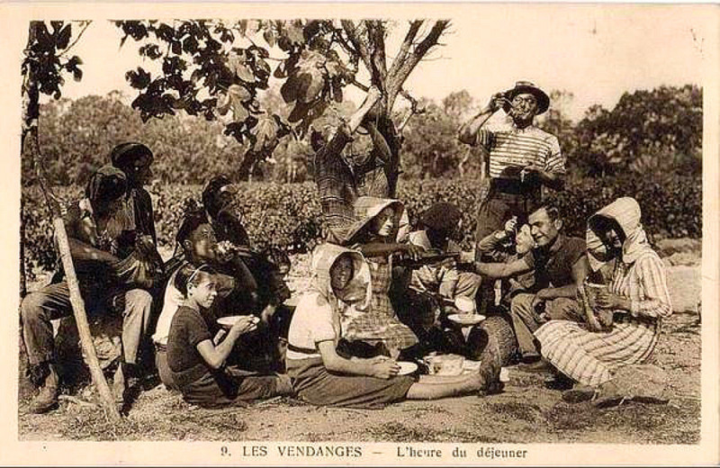 Carte postale ancienne Repas de vendanges dans l'Hérault