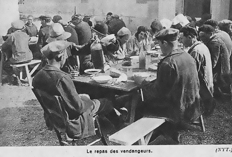 Carte postale ancienne Repas des Vendangeurs