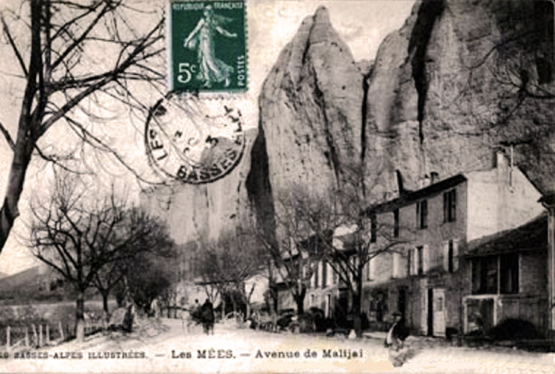 Carte postale ancienne Les Mées Avenue de Malijay