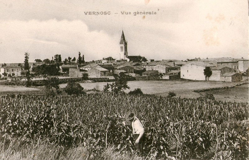 Carte postale ancienne Vernosc vigneron Cpa