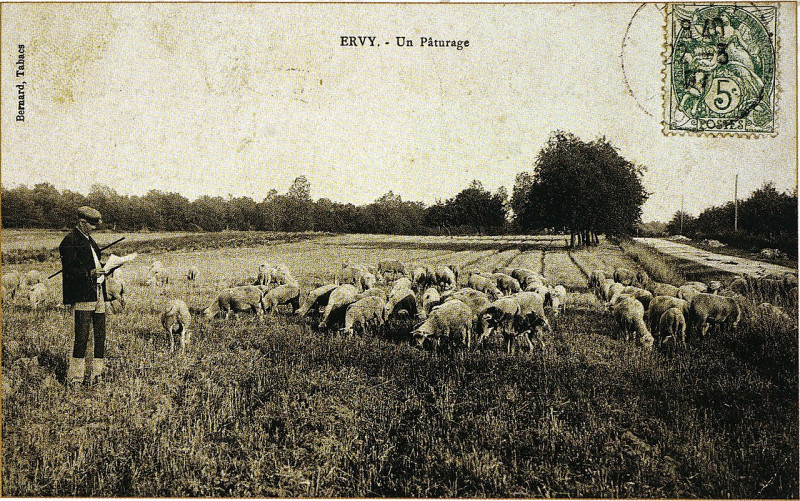 Carte postale ancienne Paturage 25313