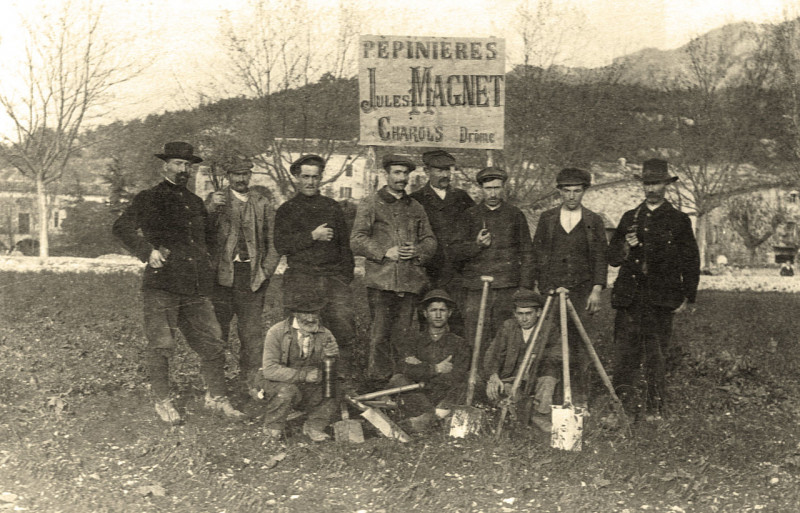 Carte postale ancienne Charols Pépinière viticole Jules Magnet 1904