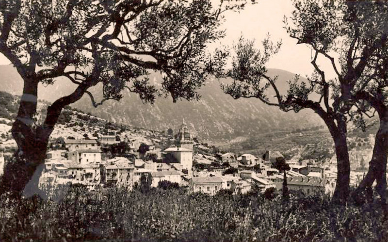 Carte postale ancienne Nyons à travers les oliviers