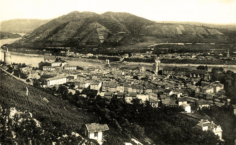 Carte postale ancienne Tain-L'Hermitage coteau de l'Hermitage