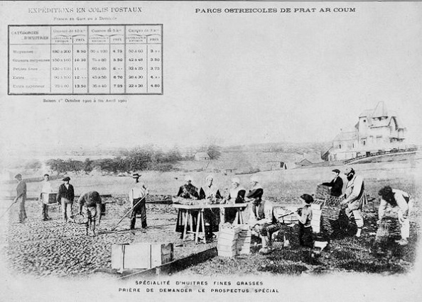 Carte postale ancienne Carte des prix Prat-ar-Coum à Lannilis