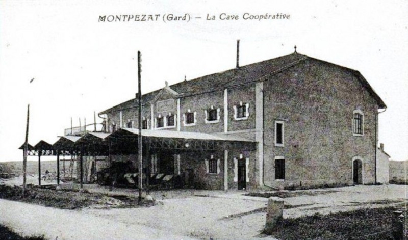 Carte postale ancienne Cave coopérative Les Coteaux de Montpezat
