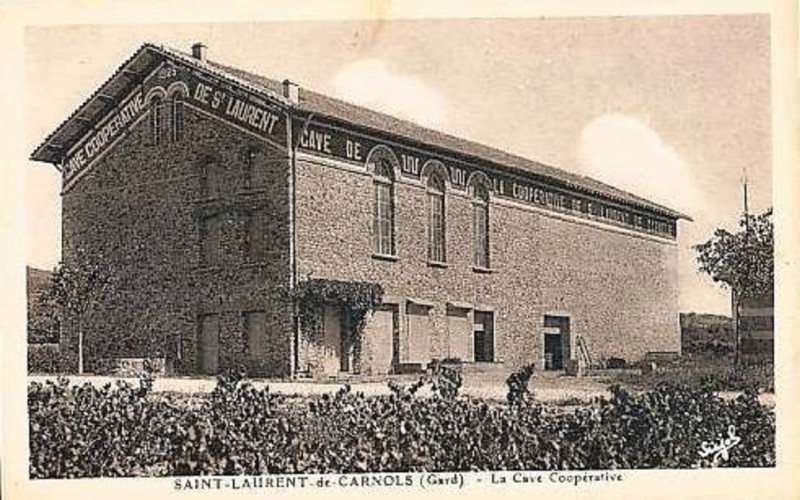 Carte postale ancienne Cave coopérative vinicole de Saint-Laurent-de-Carnols