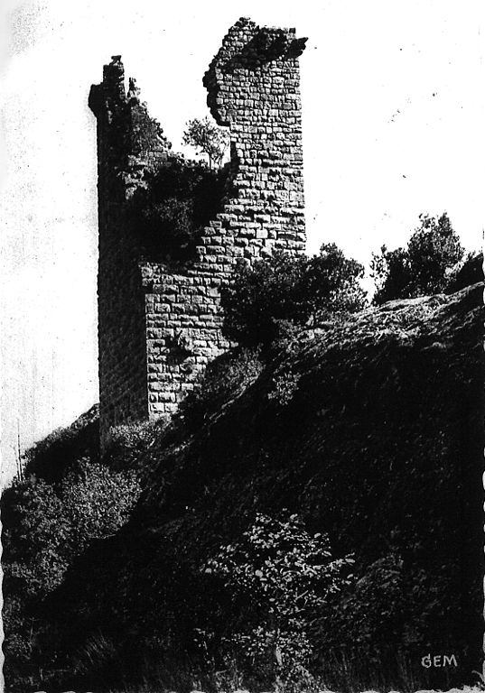Carte postale ancienne Cp la tour peyre lasalle