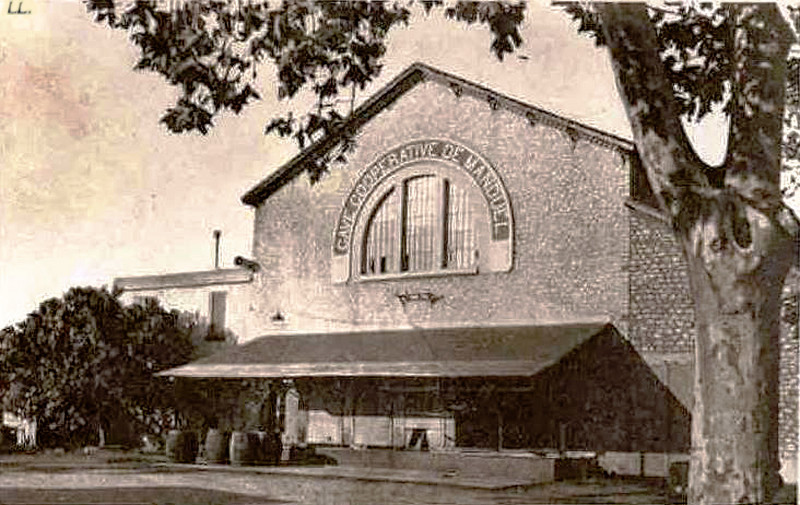 Carte postale ancienne Manduel Cave coop