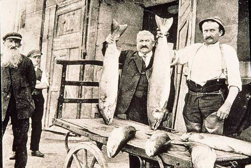 Carte postale ancienne 32 Saumons de l'Adour pêchés dans le Gers