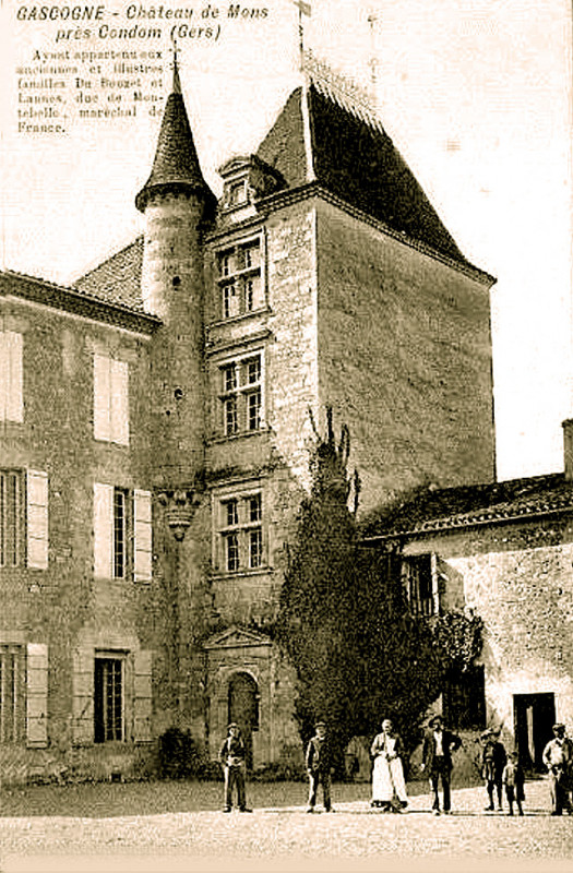 Carte postale ancienne Château de Mons Gers