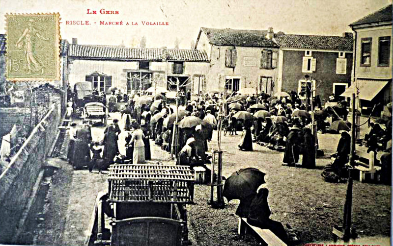 Carte postale ancienne Marché aux volailles de Riscle