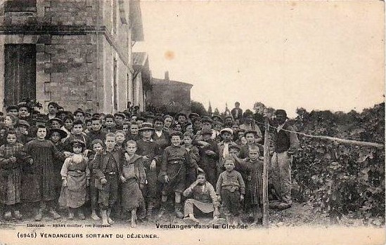 Carte postale ancienne Gironde - Vendangeurs