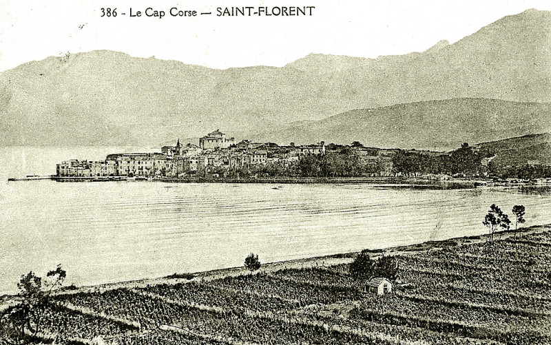 Carte postale ancienne Cap corse Vignoble de Saint-Florent