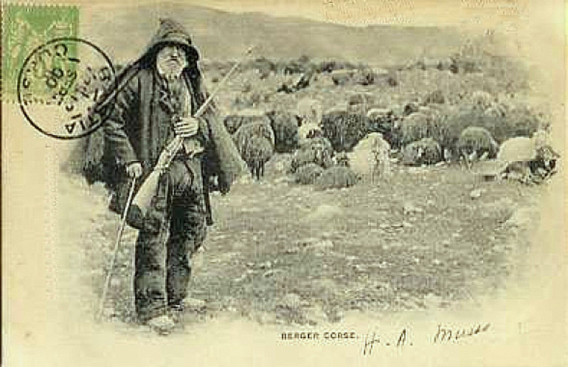 Carte postale ancienne Haute-Corse Bergerprès de Bastia en 1900