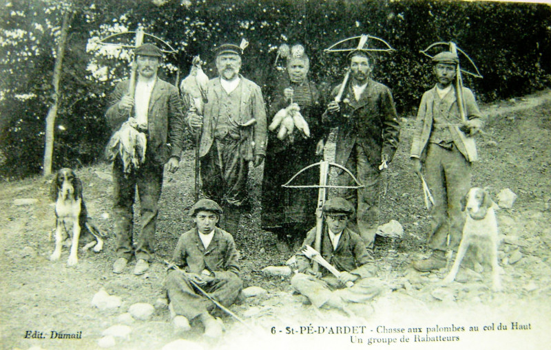 Carte postale ancienne 31 Saint-Pé-d'Ardet Chasse aux palombes