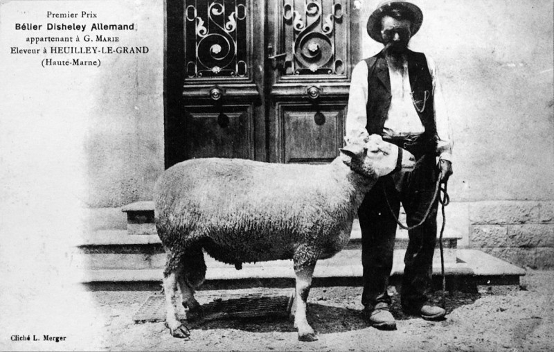 Carte postale ancienne Heuilley le grand 49614