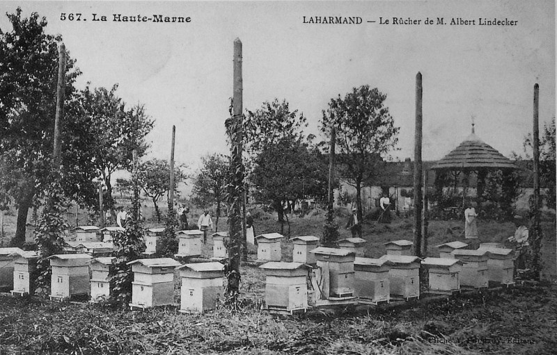 Carte postale ancienne Laharmand 74267