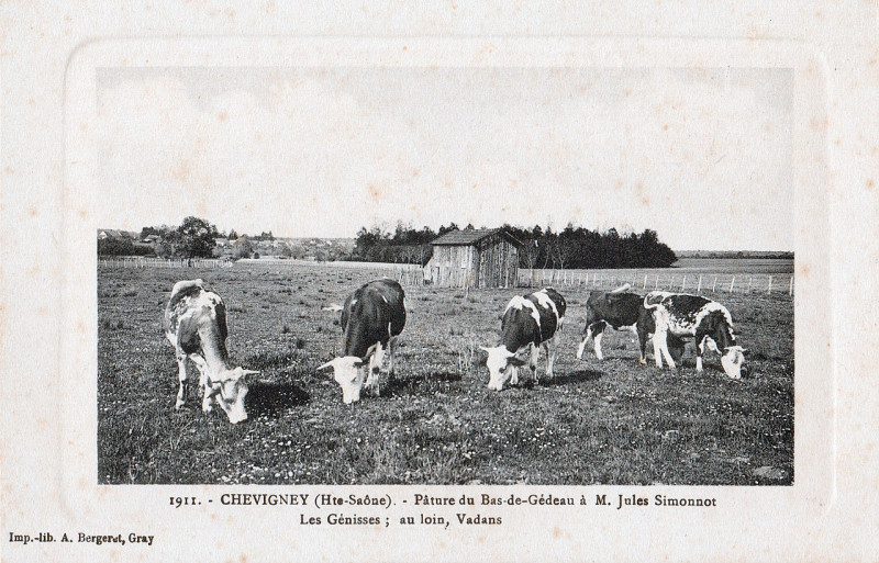 Carte postale ancienne Carte postale de Chevigney (1911)