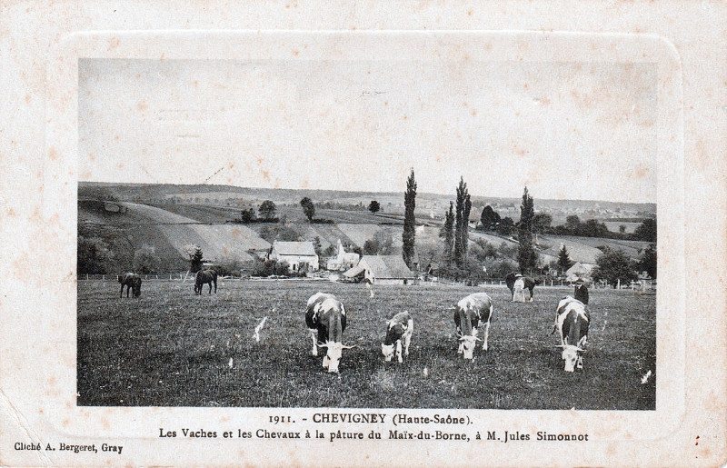 Carte postale ancienne Carte postale de Chevigney - Pâture du Maix du Borne (1911)