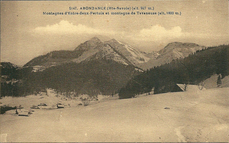 Carte postale ancienne CollectCP(anté1940)-0011