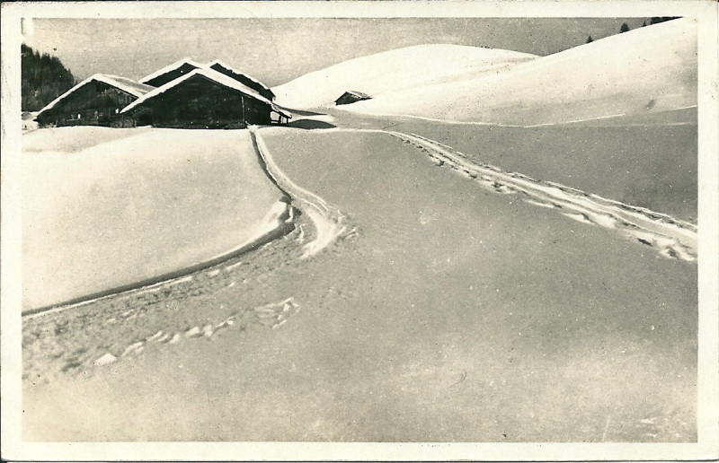 Carte postale ancienne CollectCP(anté1940)-0014 06