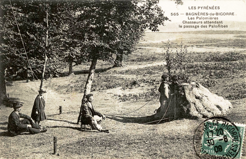 Carte postale ancienne 65 Bagnères-de-Bigorre Palombière