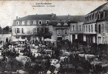 Carte postale ancienne Vieux Lannemezan 5