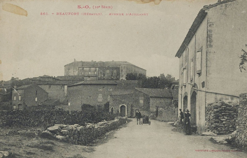 Carte postale ancienne Beaufort avenue d'Azillanet - Archives départementales de l'Hérault - FRAD034-2FICP-04879-00001