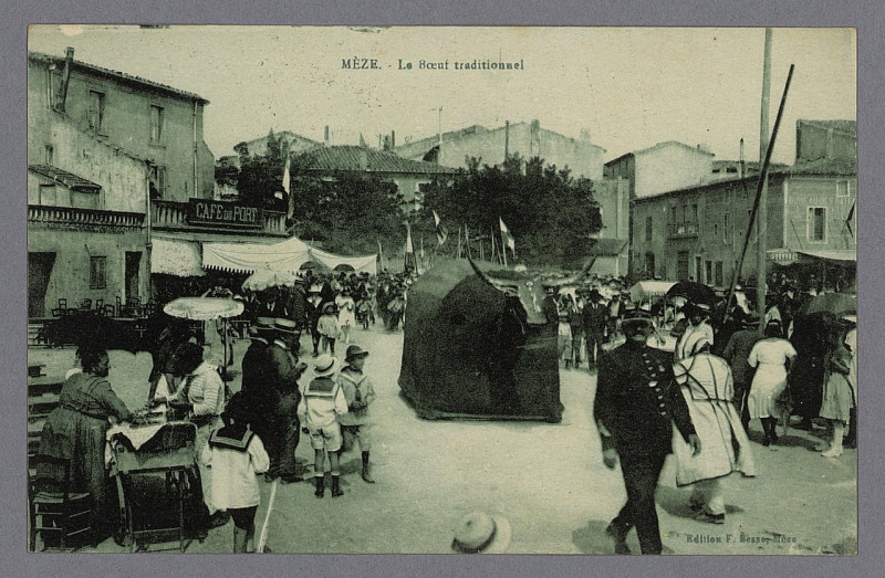 Carte postale ancienne Meze le Boeuf traditionnel - Archives départementales de l'Hérault - FRAD034-50FI-0176-00001