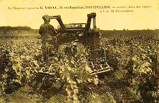 Carte postale ancienne Tracteur vigneron Georges Vidal à chenilles