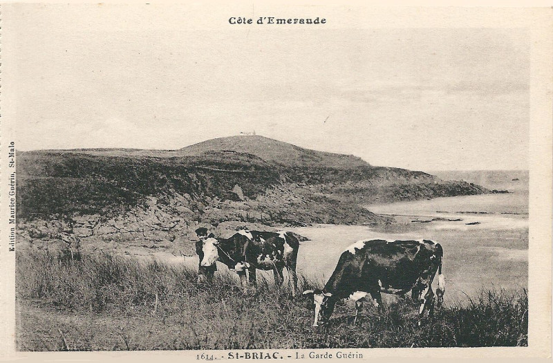 Carte postale ancienne Côte d'Emeraude-Fr-35-Saint Briac-1