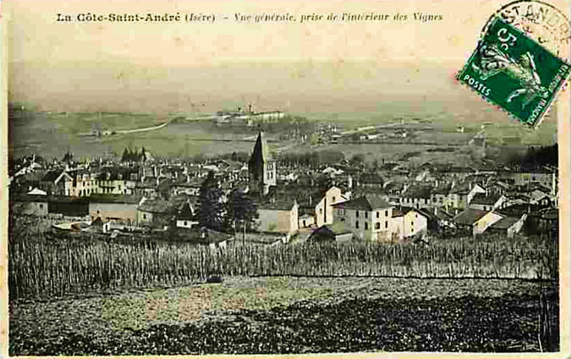 Carte postale ancienne La Côte-Saint-André les vignes