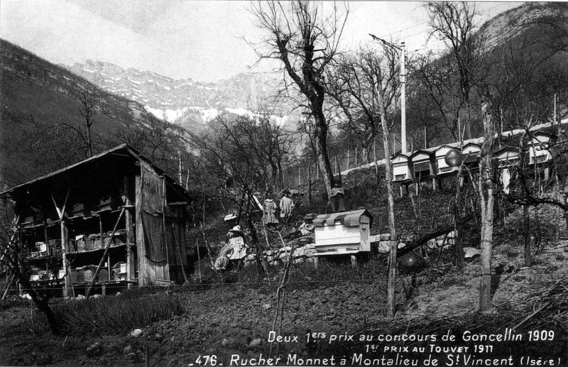 Carte postale ancienne Rucher Monnet à Montalieu à Saint-Vincent-de-Mercuze