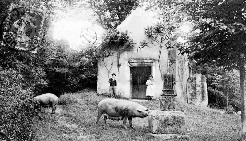 Carte postale ancienne Rahon Notre-Dame des Bois, dite des Affligés