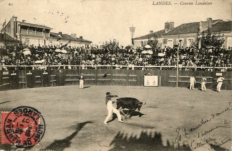 Carte postale ancienne Landes - Courses Landaises 1